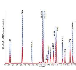 ESI-Chromatogramme