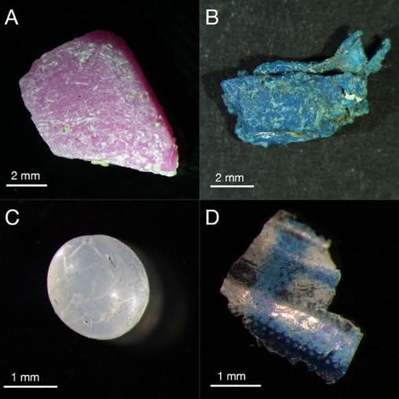 Mikroplastik