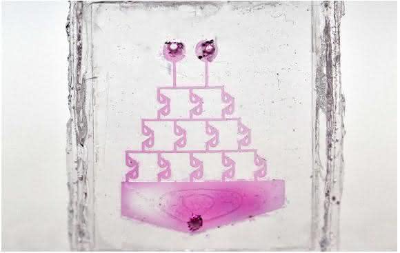 Strukturen aus Glas Strukturen aus Glas