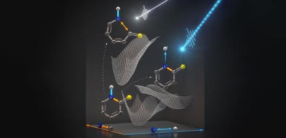 Protonentransfer