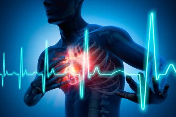 MTHFR: Methylenetetrahydrofolate Reductase Gene Polymorphisms and Cardiovascular Diseases