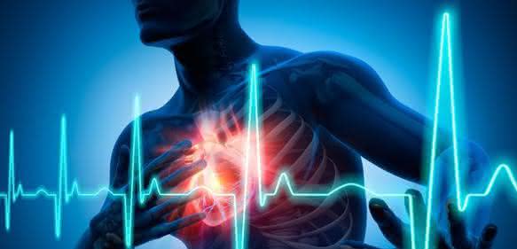 MTHFR: Methylenetetrahydrofolate Reductase Gene Polymorphisms and Cardiovascular Diseases