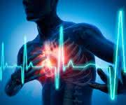 MTHFR: Methylenetetrahydrofolate Reductase Gene Polymorphisms and Cardiovascular Diseases