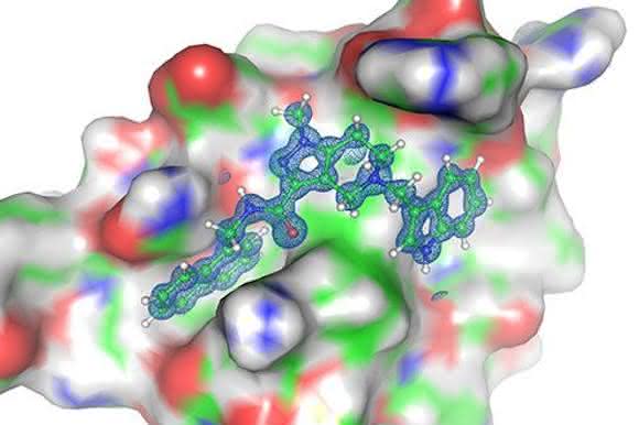 Pex-Proteine