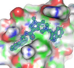 Pex-Proteine Pex-Proteine