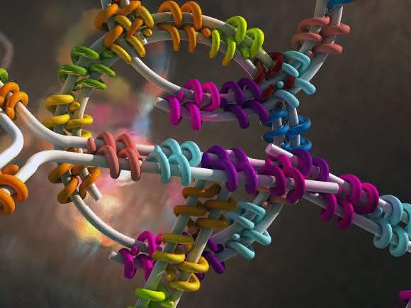 Doppelsträngige DNA Doppelsträngige DNA