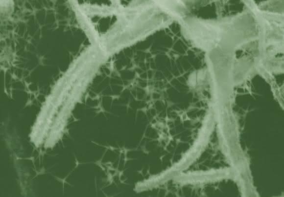 Nano-Hybridmaterial