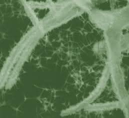 Nano-Hybridmaterial