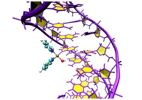Computersimulation des Angriffs von Pt103 an den DNA-Doppelhelix. (Copyright: Juan J. Nogueira, Universität Wien)