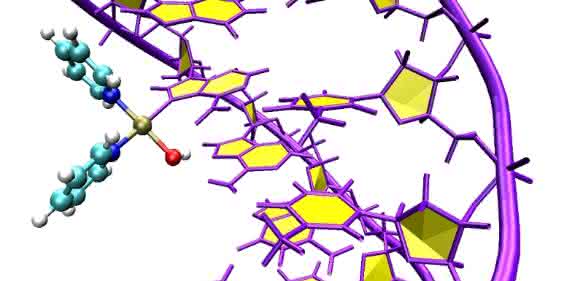 Computersimulation des Angriffs von Pt103 an den DNA-Doppelhelix. (Copyright: Juan J. Nogueira, Universität Wien) Computersimulation des Angriffs von Pt103 an den DNA-Doppelhelix. (Copyright: Juan J. Nogueira, Universität Wien)