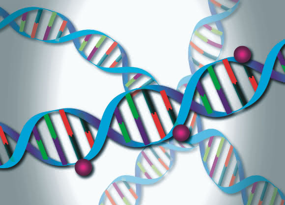 DNA-Methylierung (© Schuster, DKFZ)