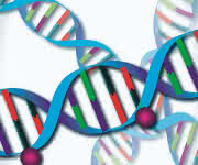 DNA-Methylierung (© Schuster, DKFZ)