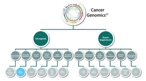 Overview of Cancer Genomics