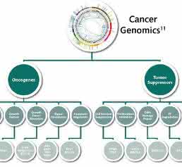 Overview of Cancer Genomics