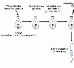 Probenvorbereitung mit Stabilisotopenverdünnungsanalyse