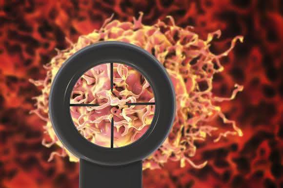 A Comprehensive Evaluation in the Clinical Space: Solid Tumor Analysis A Comprehensive Evaluation in the Clinical Space: Solid Tumor Analysis