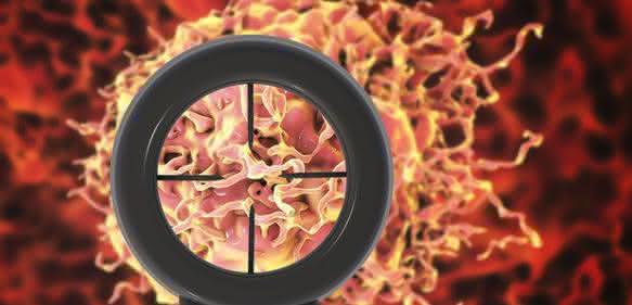 A Comprehensive Evaluation in the Clinical Space: Solid Tumor Analysis