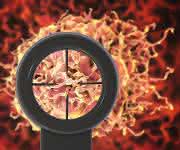 A Comprehensive Evaluation in the Clinical Space: Solid Tumor Analysis
