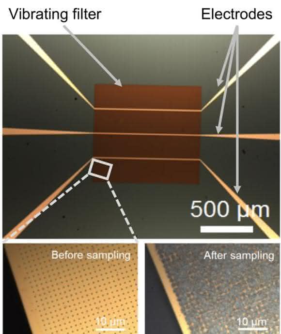 Filtermembran mit Gold-Elektroden
