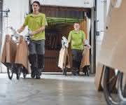 Logwin Fahrrad Transport