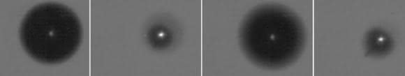 Hochaufgelöste Blasenimplosionen mit Sonolumineszenz (Bildbreite jeweils 400 µm, Belichtungszeit 7 µs).