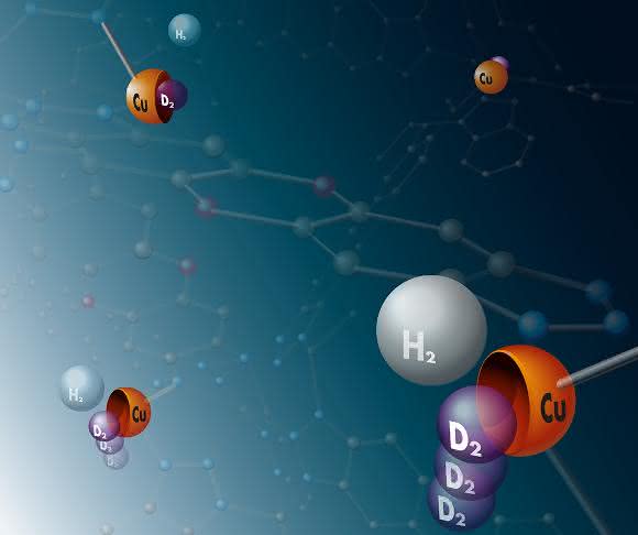 Sammelbecken für schweren Wasserstoff: An Kupferatome in einer Metall-organischen Gerüstverbindung binden bevorzugt Moleküle der schweren Wasserstoffisotope Deuterium und Tritium – die Metallatome sind hier daher symbolisch als Schalen dargestellt. (© Universität Leipzig / Thomas Häse)