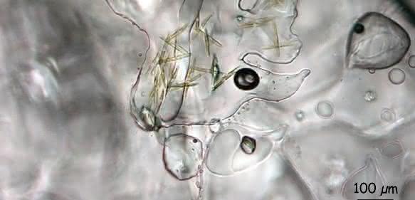 Die Kieselalge Fragilariopsis cylindrus lebt in kleinen Kanälen im Eis, die entstehen, wenn Meerwasser gefriert. (Bildnachweis: Dr. Karen Junge, University of Washington, USA)