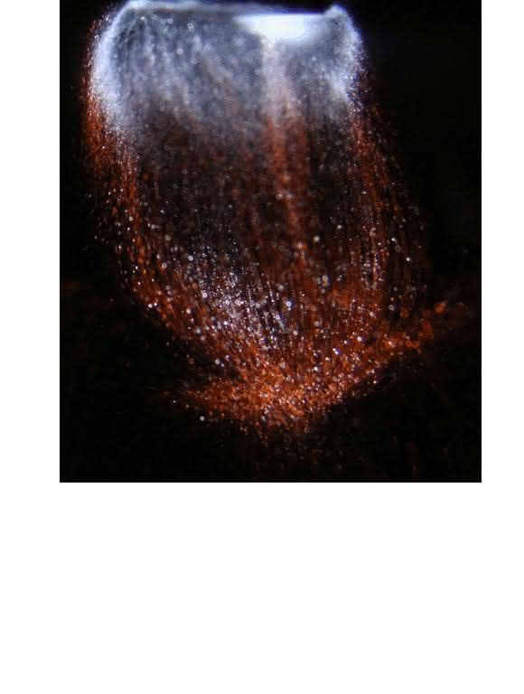Farbige Sonolumineszenz von Xenon in konzentrierter Schwefelsäure mit gelöstem Natriumsalz.