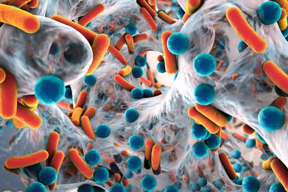 Biofilme sind strukturierte Bakterienansammlungen und an vielen schwer behandelbaren chronischen Infektionen beteiligt. Biofilme sind strukturierte Bakterienansammlungen und an vielen schwer behandelbaren chronischen Infektionen beteiligt.