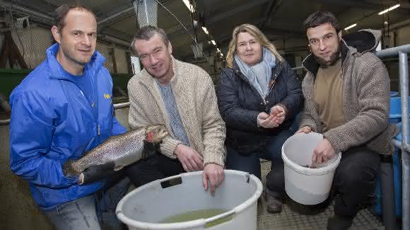 Forschen fürs Forellenfutter: Ralf Bochert, Prof. Hendrik Schubert, Prof. Petra Wolf und Gregor Thum. (Foto: Universität Rostock / Julia Tetzke)