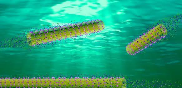 Nanoroboter