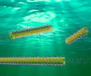 Nanoroboter