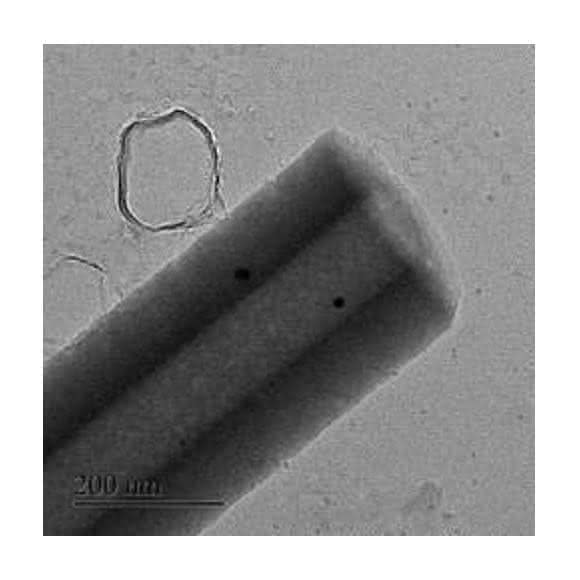 Nanoröhrchen