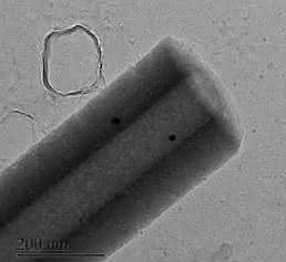 Nanoröhrchen