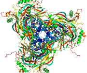 Atomares Modell der kristallinen Proteinhülle der Granuloviren, berechnet aus Röntgenbeugungsmustern. Die einzelnen Proteinmoleküle (ganz rechts) fügen sich zu Kristallbausteinen (links von der Seite gesehen, in der Mitte von oben gesehen) zusammen. (Bild: Dominik Oberthür, CFEL / DESY) Atomares Modell der kristallinen Proteinhülle der Granuloviren, berechnet aus Röntgenbeugungsmustern. Die einzelnen Proteinmoleküle (ganz rechts) fügen sich zu Kristallbausteinen (links von der Seite gesehen, in der Mitte von oben gesehen) zusammen. (Bild: Dominik Oberthür, CFEL / DESY)