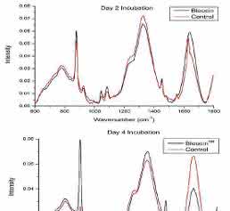 Cell Damage and Disease: Double-Stranded DNA Damage Assessed with Raman Spectroscopy