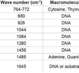 Cell Damage and Disease: Double-Stranded DNA Damage Assessed with Raman Spectroscopy