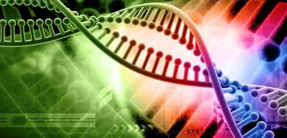 Cell Damage and Disease: Double-Stranded DNA Damage Assessed with Raman Spectroscopy