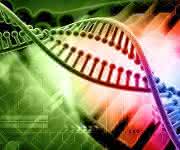 Cell Damage and Disease: Double-Stranded DNA Damage Assessed with Raman Spectroscopy