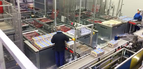 Depalettierheber Winkel
