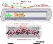 Stokes-Strahlung Stokes-Strahlung