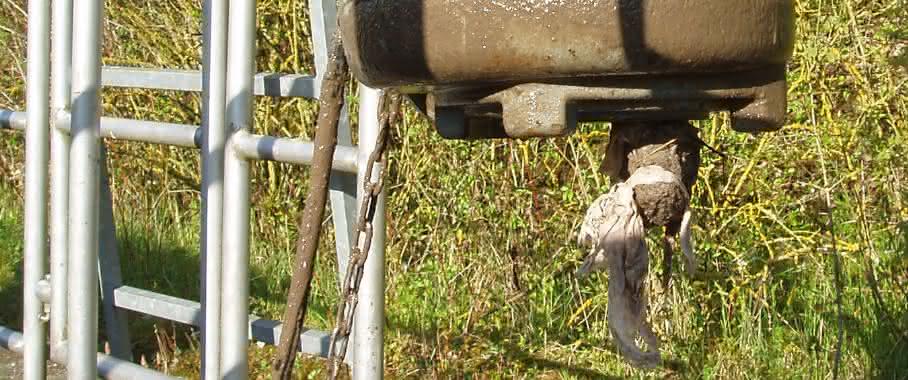 Abwasserpumpe mit Feuchttuch-Zopf