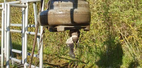 Abwasserpumpe mit Feuchttuch-Zopf