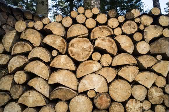 Holz Holz