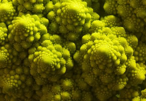 Mathematik im Romanesco Mathematik im Romanesco