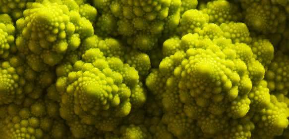Mathematik im Romanesco
