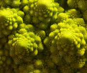 Mathematik im Romanesco