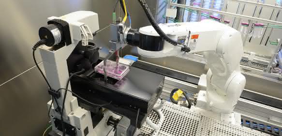 Denso Fraunhofer IPT Stammzellenforschung Denso Fraunhofer IPT Stammzellenforschung