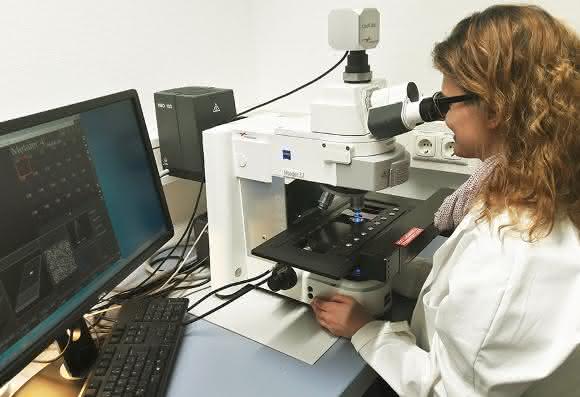 DNA-Schäden werden mikroskopisch analysiert