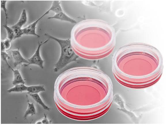 ibidi erweitert seine Produktlinie für die Lebendzell-Mikroskopie und Immunfluoreszenz mit der neuen  Glass Bottom Dish35 mm.